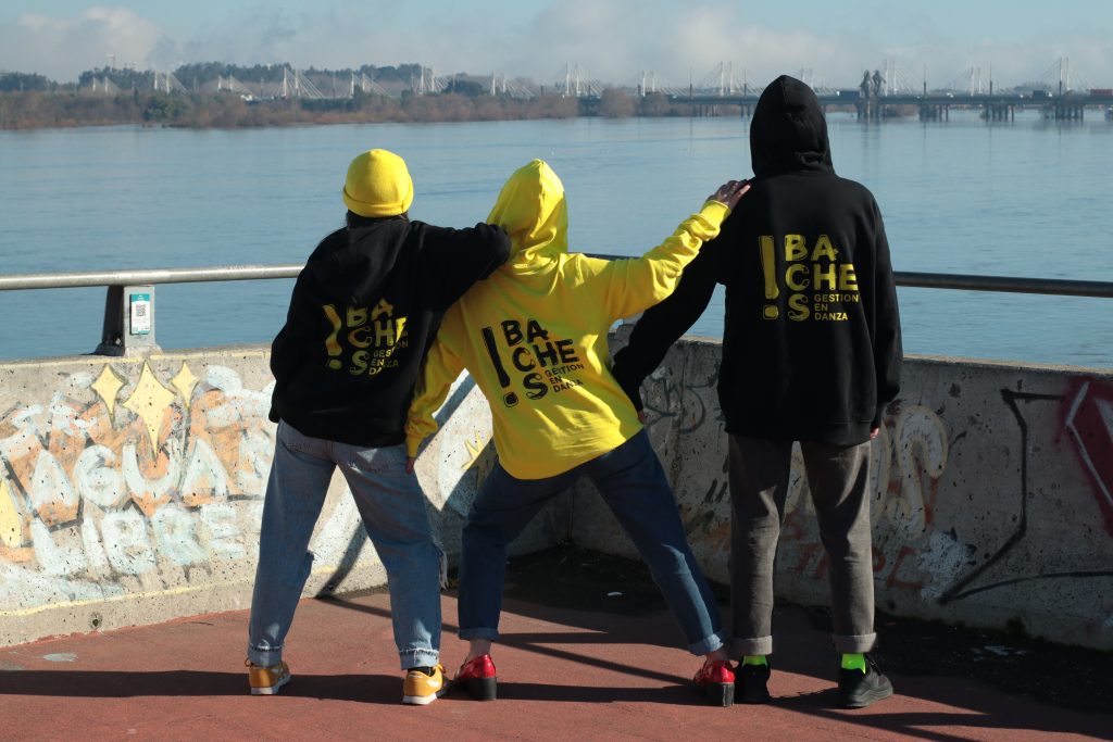 Portafolio Baches