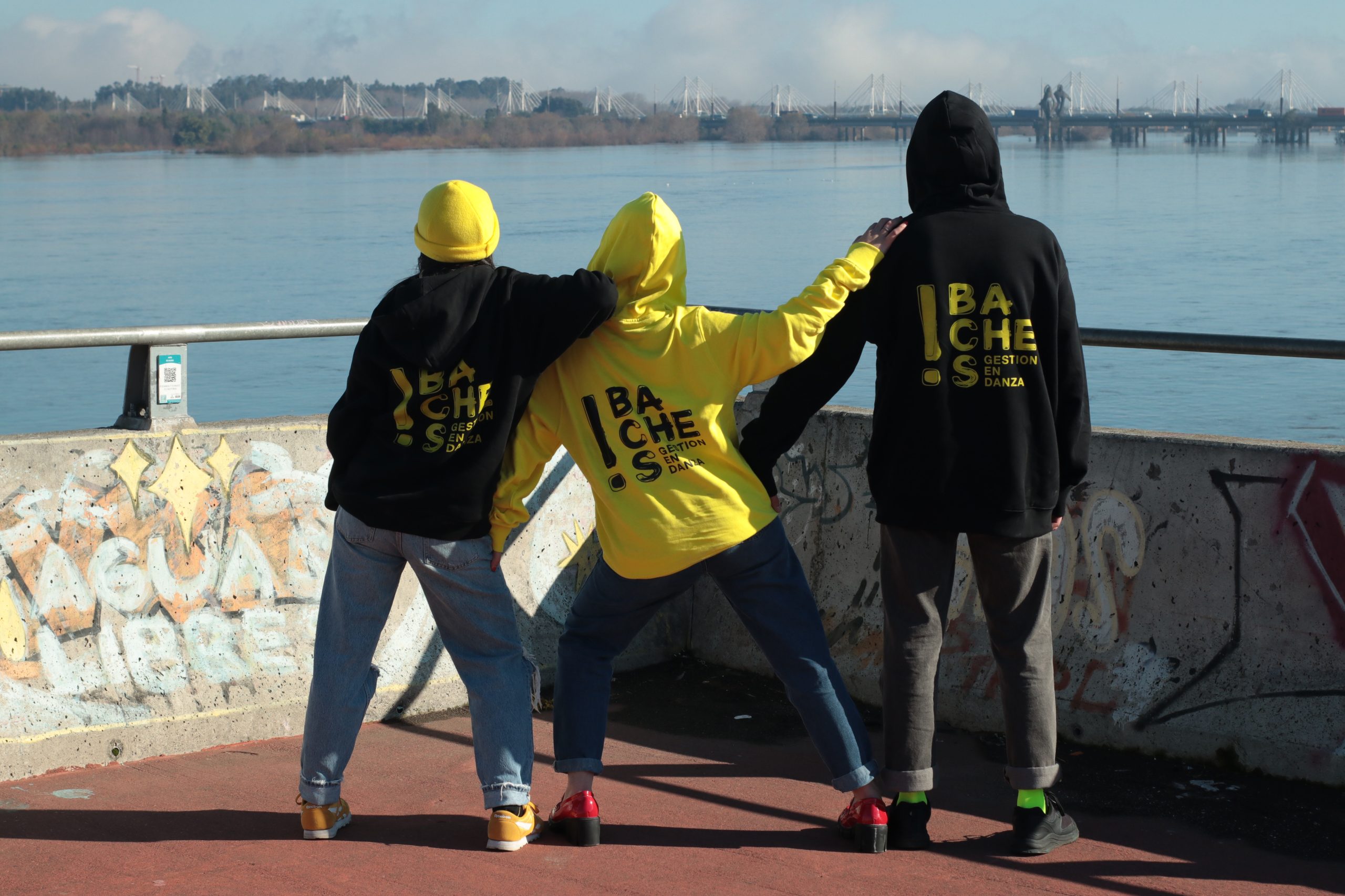 Portafolio Baches