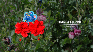 carlaanuncios
